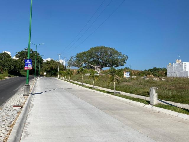 Terreno en renta en Real Santa Fe, Villa de Álvarez, Colima
