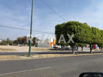 Terreno en renta en Residencial Campestre