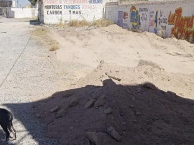 Terreno en renta en Residencial Hamburgo, Gómez Palacio, Durango