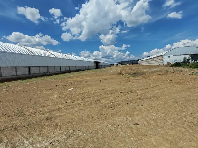 Terreno en renta en Santa Maria Acuexcomac, San Pedro Cholula, Puebla