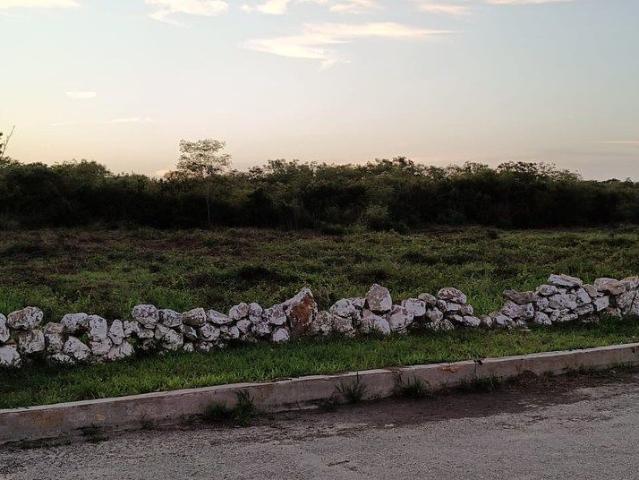 Terreno en Renta en Santa Gertrudis Copo | RML |