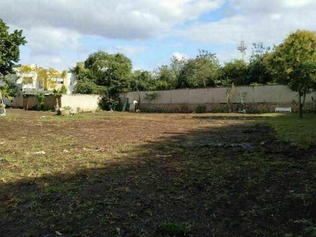 Terreno en renta en Santa Rita Cholul, M?rida, Yucat?n