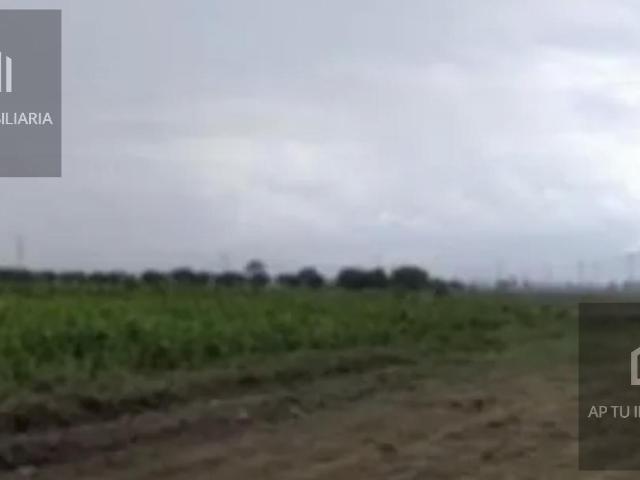 TERRENO EN RENTA EN TULTEPEC CON ESPUELA DE FERROCARRIL