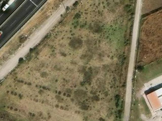 TerrENO EN RENTA EN TULTEPEC