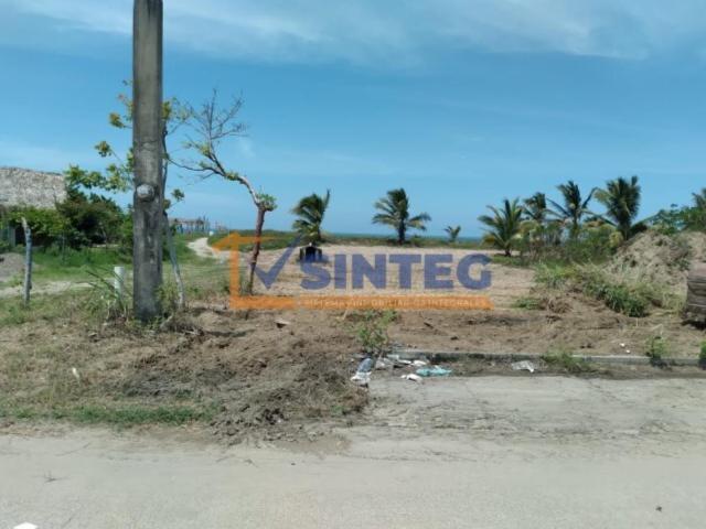 Terreno en renta en Tecolutla, Tecolutla, Veracruz de Ignacio de la Llave