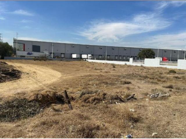 Terreno en renta en Texcacoa, Tepotzotlán, México