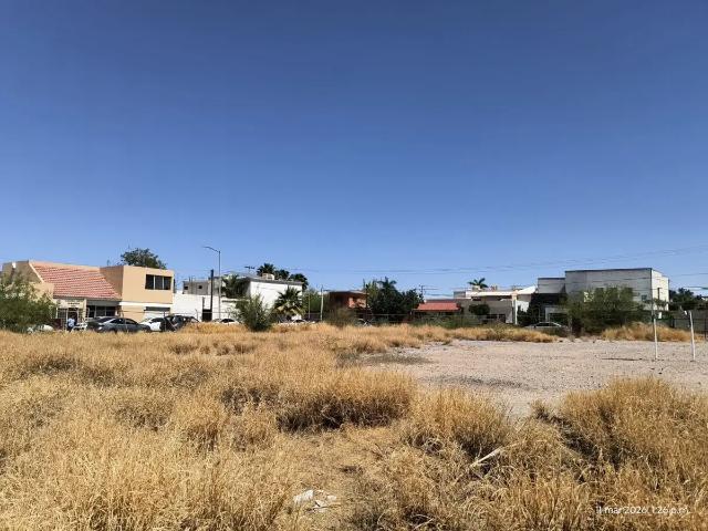 Terreno en renta en Torreón Residencial, Torreón, Coahuila de Zaragoza