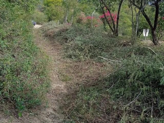 Terreno en Renta en Villa de Santiago