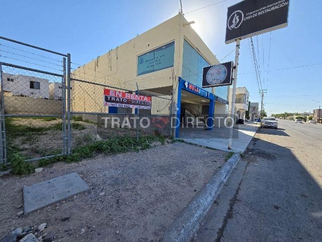 Terreno en RENTA en: Villa Florida sector B, Av. Colorines
