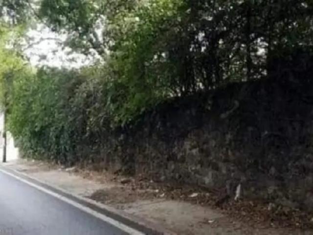Terreno en renta en Vista Hermosa, Cuernavaca, Morelos