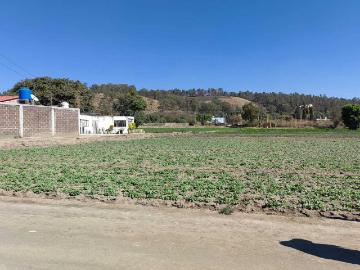Terreno en renta en Zerezotla, San Pedro Cholula, Puebla