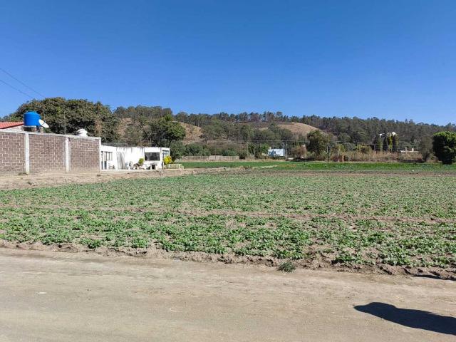 Terreno en renta en Zerezotla, San Pedro Cholula, Puebla