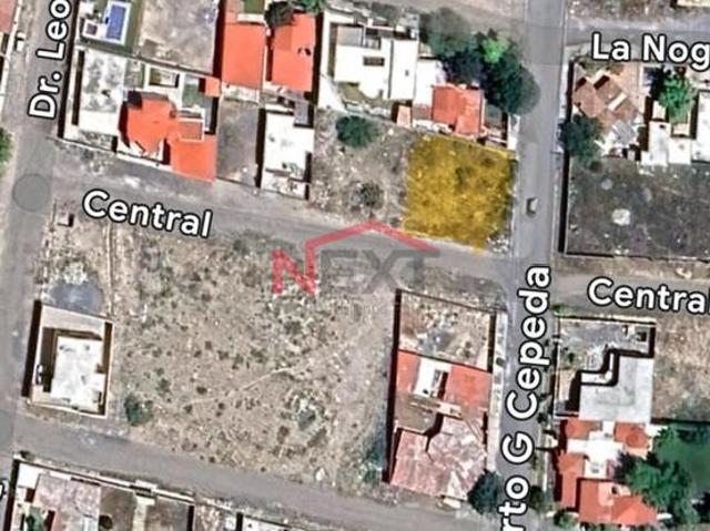 Terreno en Renta | Fracc. Las Flores ? Arteaga, Coahuila