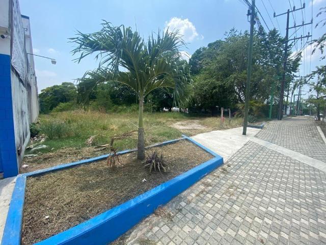 TERRENO EN RENTA PARA INVESIONISTAS