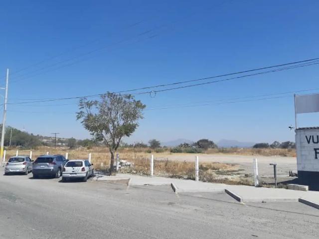 TERRENO EN RENTA PLANO EN CARRETERA PALMILLAS