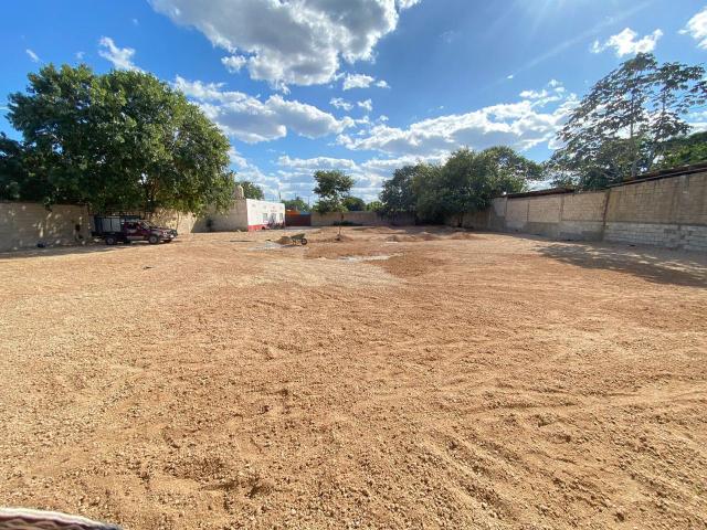 TERRENO EN RENTA, ROBLE AGRICOLA