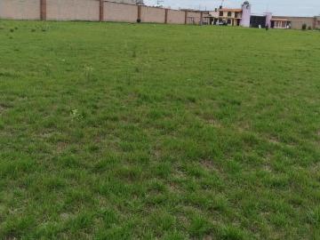 Terreno en Renta, San Bartolom? tlaltellulco