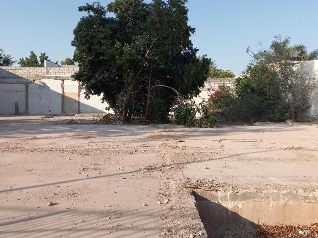 TERRENO EN RENTA SAN ISIDRO TORRE?N