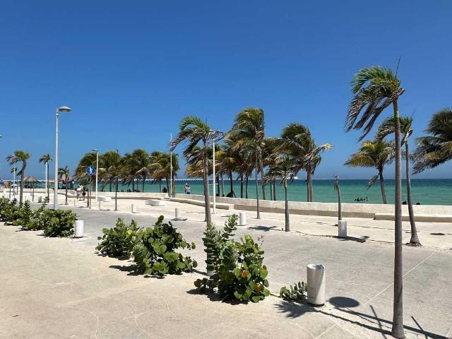 TERRENO EN RENTA SOBRE MALECON DE PROGRESO ESTACIONAMIENTO,PALAPA BA?OS
