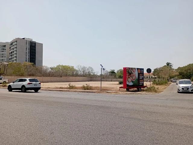Terreno en renta sobre avenida