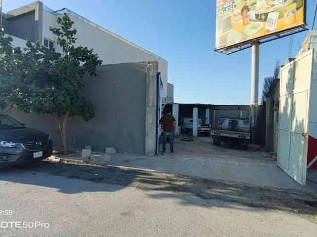 TERRENO EN RENTA SOBRE CARRETERA TORREON SAN PEDRO ZONA NORTE, TORREON, COAH