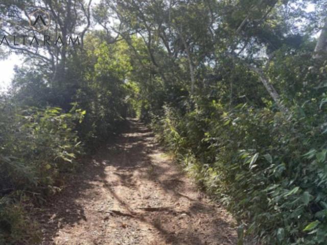 TERRENO EN RENTA| TAMIAHUA VERACRUZ