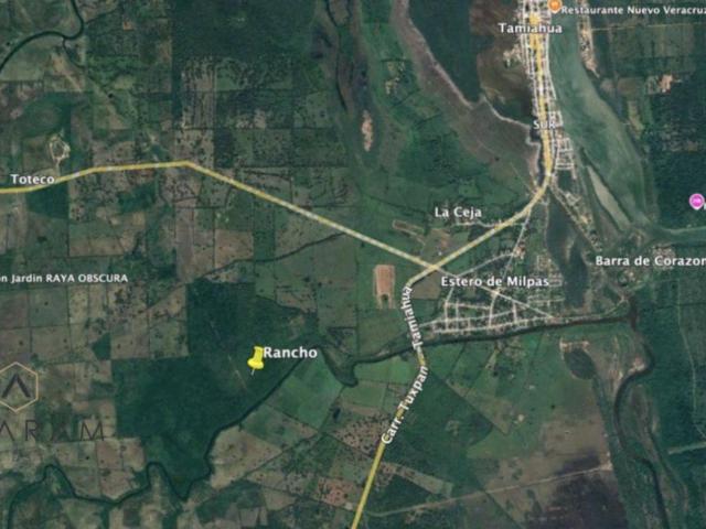TERRENO EN RENTA| TAMIAHUA VERACRUZ