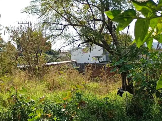 Terreno en renta Temixco Morelos