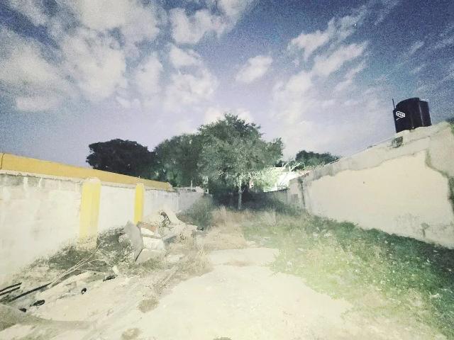 TERRENO EN RENTA UBICADO ATRAS DE PASEO MONTEJO