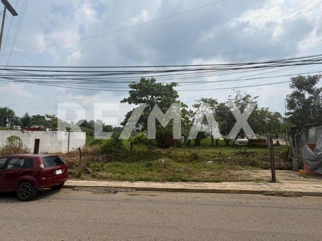 TERRENO EN RENTA UBICADO EN TEAPA