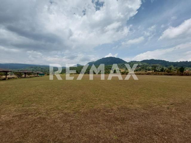 Terreno en Renta