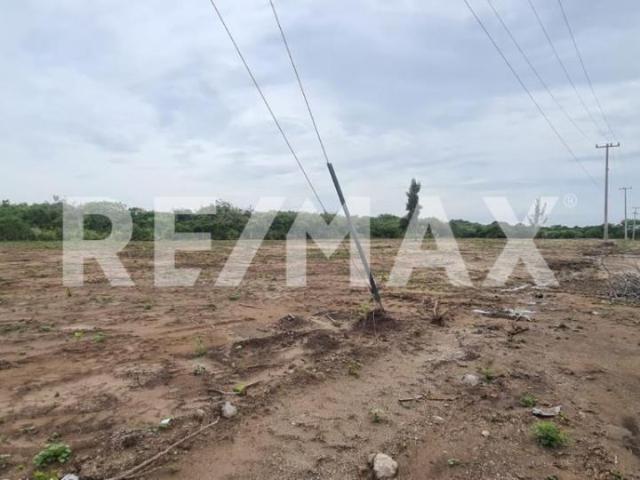 TERRENO EN RENTA