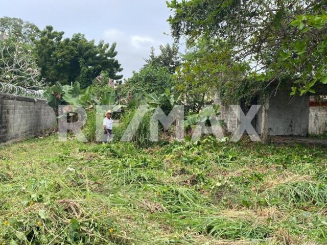 TERRENO EN RENTA