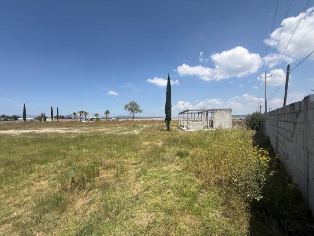 TERRENO EN RENTA