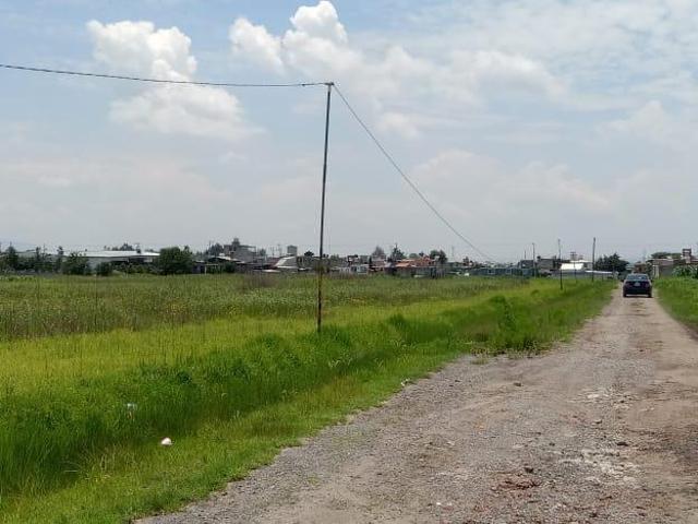 Terreno EN RENTA