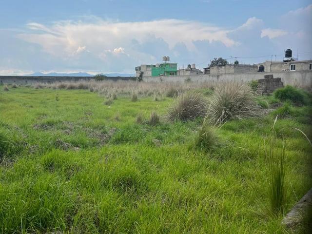 Terreno en renta 4000 m2 ubicado en La Concha Calimaya, todo o en partes