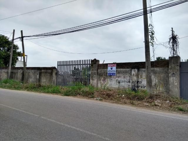 TERRENO EN RENTA