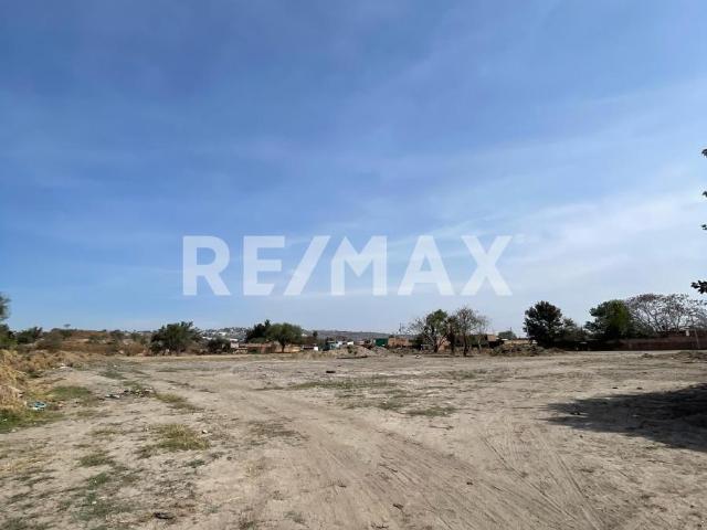 Terreno en Renta