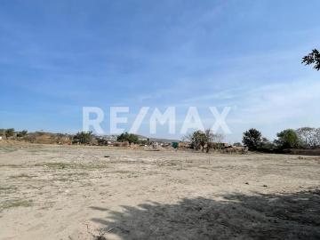 Terreno en Renta