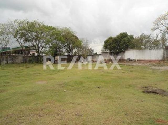 TERRENO EN RENTA