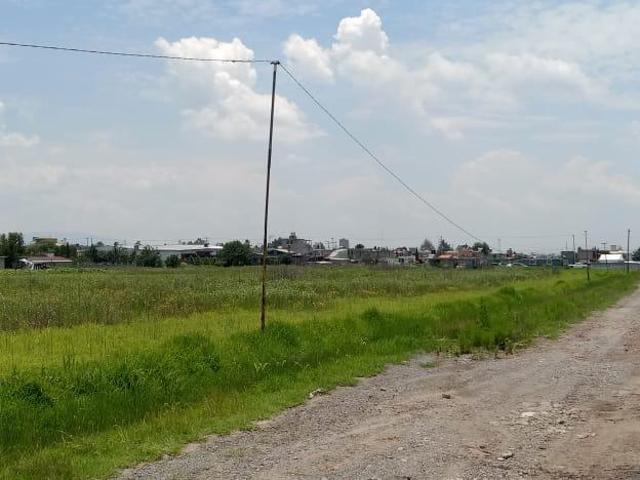 Terreno EN RENTA
