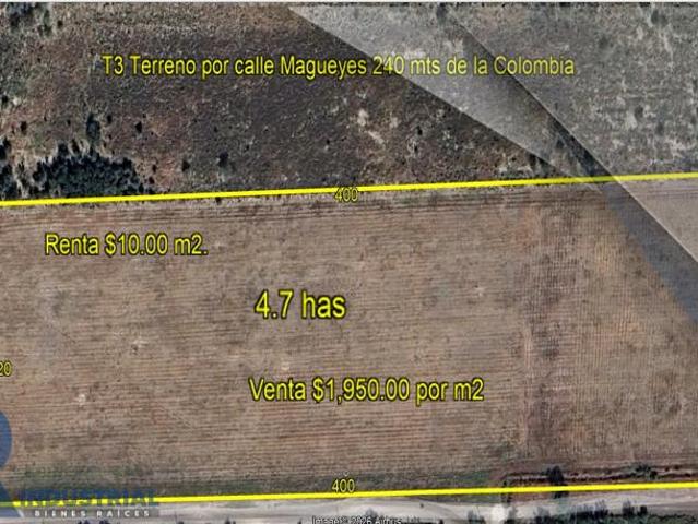TERRENO EN RENTA/VENTA SALINAS VICTORIA
