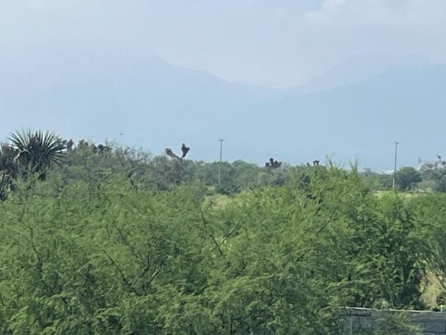 Terreno en Salinas Victoria en VENTA