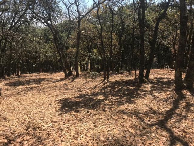 Terreno en San Felipe de Jes?s
