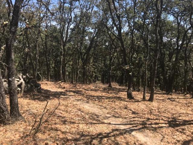 Terreno en San Felipe de Jes?s