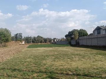 Terreno en San Jorge Tezoquipan