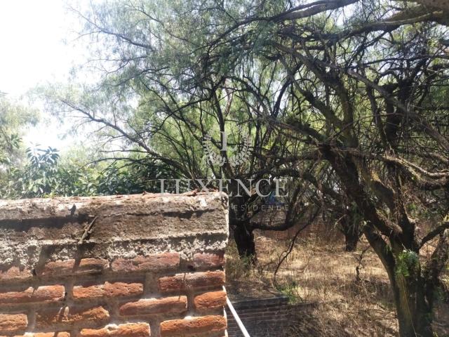 Terreno en San Juan Estrella en Vnta