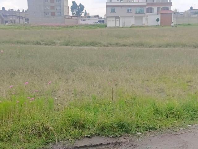 Terreno en San Lorenzo TepaltitlAn Centro