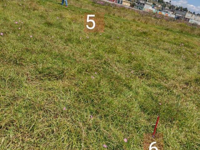Terreno en San Pablo Autopan