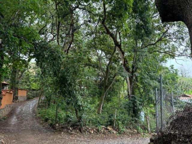TERRENO EN SAN SEBASTIÁN DEL OESTE. JALISCO. DE 800 M2. LISTO A ESCRITURAR